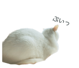 556848693
