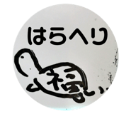 55685134