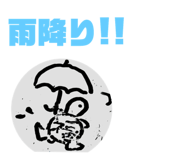 55685138