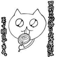 556857944