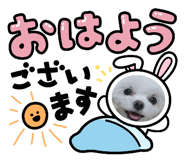 556860805
