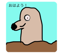 556861796