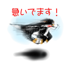 5568622