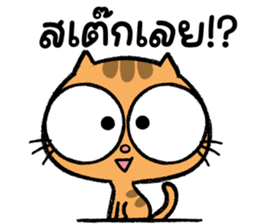 สติกเกอร์ 556864059