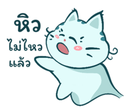 556886331