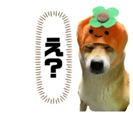 556887610