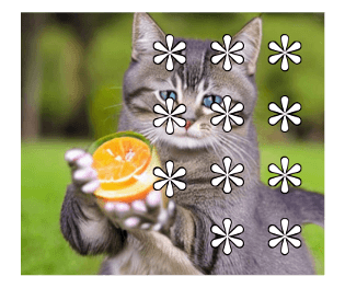 556893531