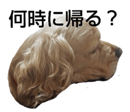 556894311