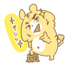 5569097