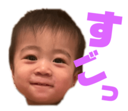 556938508