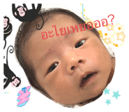 556938878