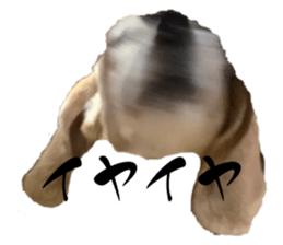 556939110