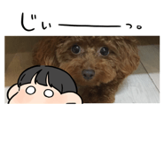 556944225