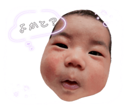 556947041