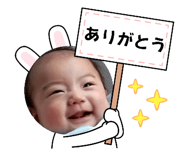 556953354