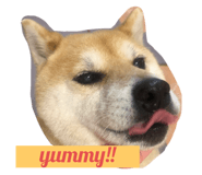 556963484