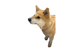 556963491