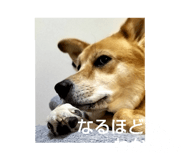 556970939