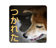 556970940