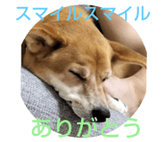 556970941