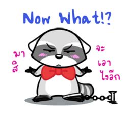 5570116