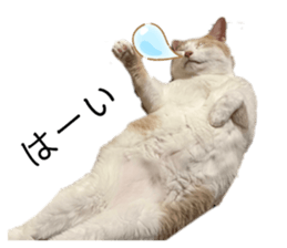 557019071