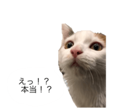 557077397