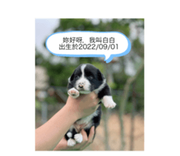 557192338