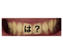 557204044