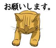 557221900