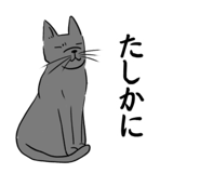 557221916