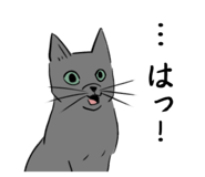 557221917
