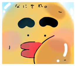 557229631