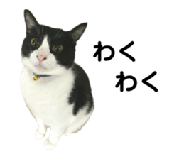 557238423