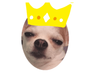 557266058