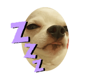557266061