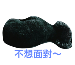 55726643