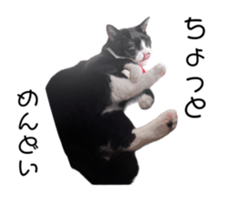 557273172