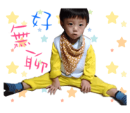 55730666