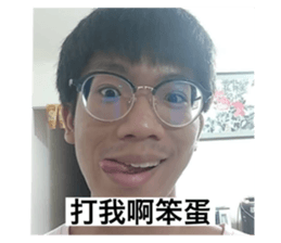 557334817
