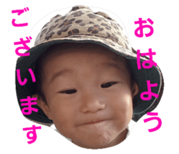 55733883