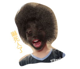 55736854