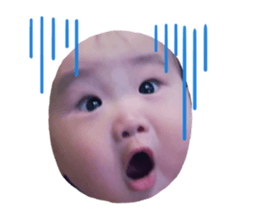557375538