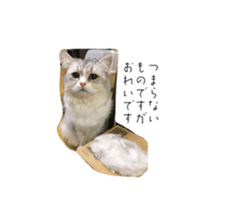 557389106
