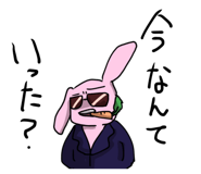 557400529