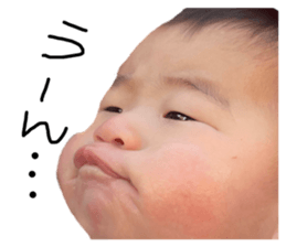 557427646