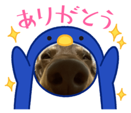 557427832