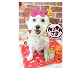 557430604
