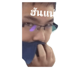 55743132