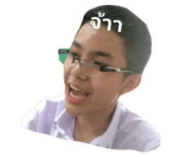 55743135